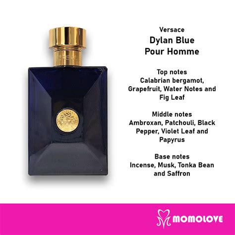 versace eros men notes|versace dylan blue notes.